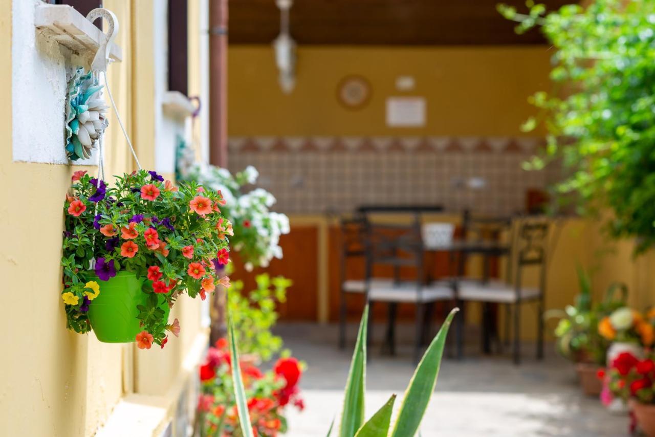 B&B Martina Agropoli Exterior photo